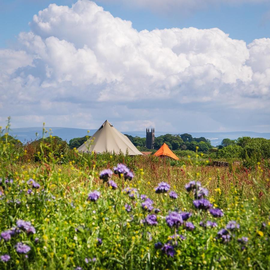 Luxury tent The Sea Forts Cornwall *