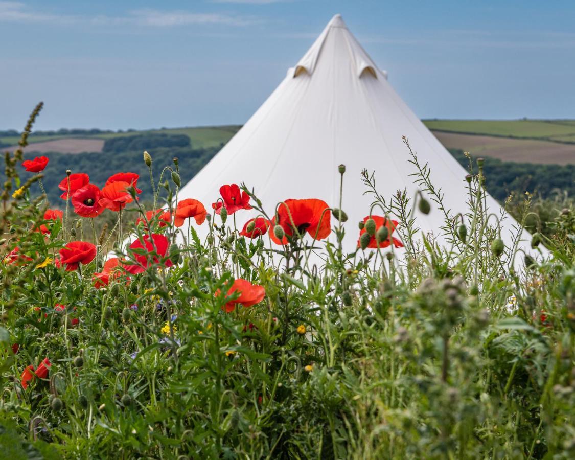 The Sea Forts Cornwall Luxury tent Torpoint